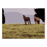 Thinking of You Horse Card