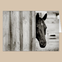 Thinking of You Horse Card cards