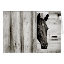 Thinking of You Horse Card