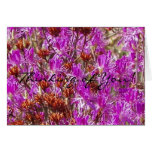 Thinking of You! Lambs Kill Wildflower Card