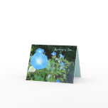 Thinking of You...Morning Glories Notecard