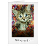 Thinking of You Note Card Grey Tabby Kitten