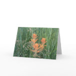 Thinking of You/ Paintbrush Greeting Card