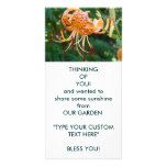 THINKING OF YOU! Photo Cards Share Some Sunshine photo cards
