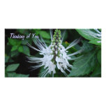 Thinking of You photo cards