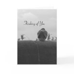 Thinking of You Pigeon Greeting Cards