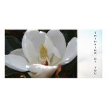 "Thinking of you" post card photo cards