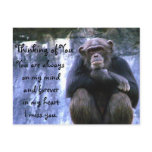 Thinking of You_ Postcard