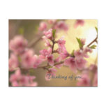 Thinking of you... postcards