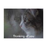 Thinking of you postcards