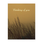 Thinking of you postcards