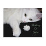Thinking of You.. Postcards