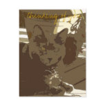 thinking of you postcards