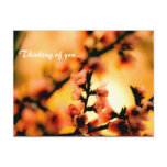 Thinking of you... postcards