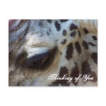 Thinking Of You_ Postcard_by Elenne Boothe