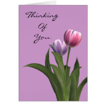 Thinking Of You Sentiments Condolence Pastel Tulip Greeting Cards