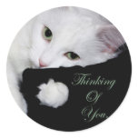 Thinking of You.. stickers