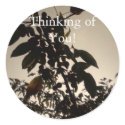 Thinking of You! stickers
