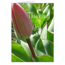 Thinking of you- Tulip card