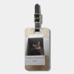 Thinking Outside the Box Bag Tag