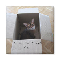 Thinking Outside the Box Fridge Magnet