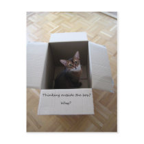 Thinking Outside the Box Post Card