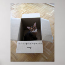 Thinking Outside the Box