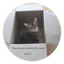 Thinking Outside the Box Stickers
