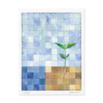 Third Day (7 days of creation) Postcard