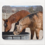Thirsty Horses Drink at the Water Trough mousepads