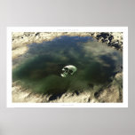 thirsty? posters