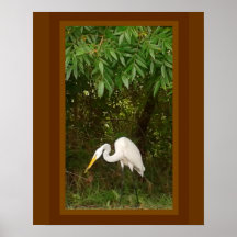 This graceful crane has just caught a lizard. print