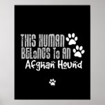 This Human Belongs to an Afghan Hound posters