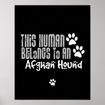 This Human Belongs to an Afghan Hound