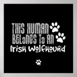 This Human Belongs to an Irish Wolfhound posters