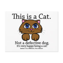 This is a Cat Postcard
