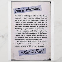 This Is America Keep It Free! Flyer