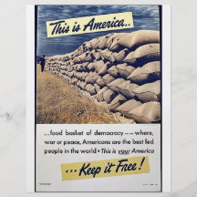 This Is America Keep It Free! Flyer Design