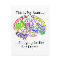 This is my brain...Bar Exam Post Card
