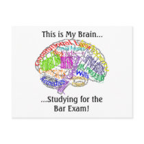 This is my brain...Bar Exam Postcard