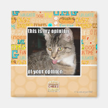 this is my opinion refrigerator magnet