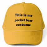 This is my POCKET BEAR Costume