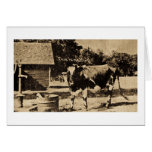 This is NO Bull!  Vintage Greeting Cards