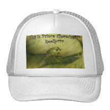 This Is Prince Charming??? Trucker Hat