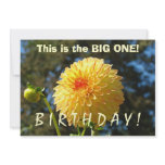 This is the Big One! Birthday Party Invitations