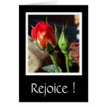 This is the Day Greeting Card