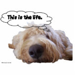 This is the life photo keychain photo sculptures