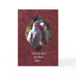 This is the perfect day cards
