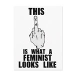 This Is What A Feminist Looks Like postcards