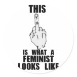 This Is What A Feminist Looks Like stickers